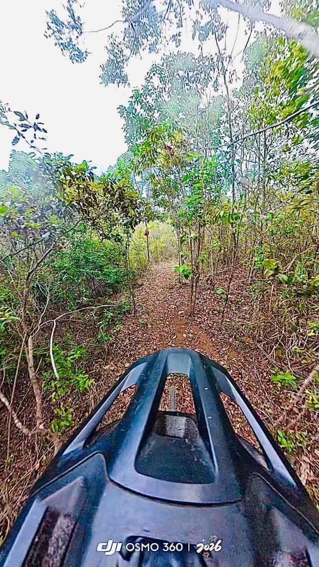 Post 1 by LP Silva on Instagram (video)