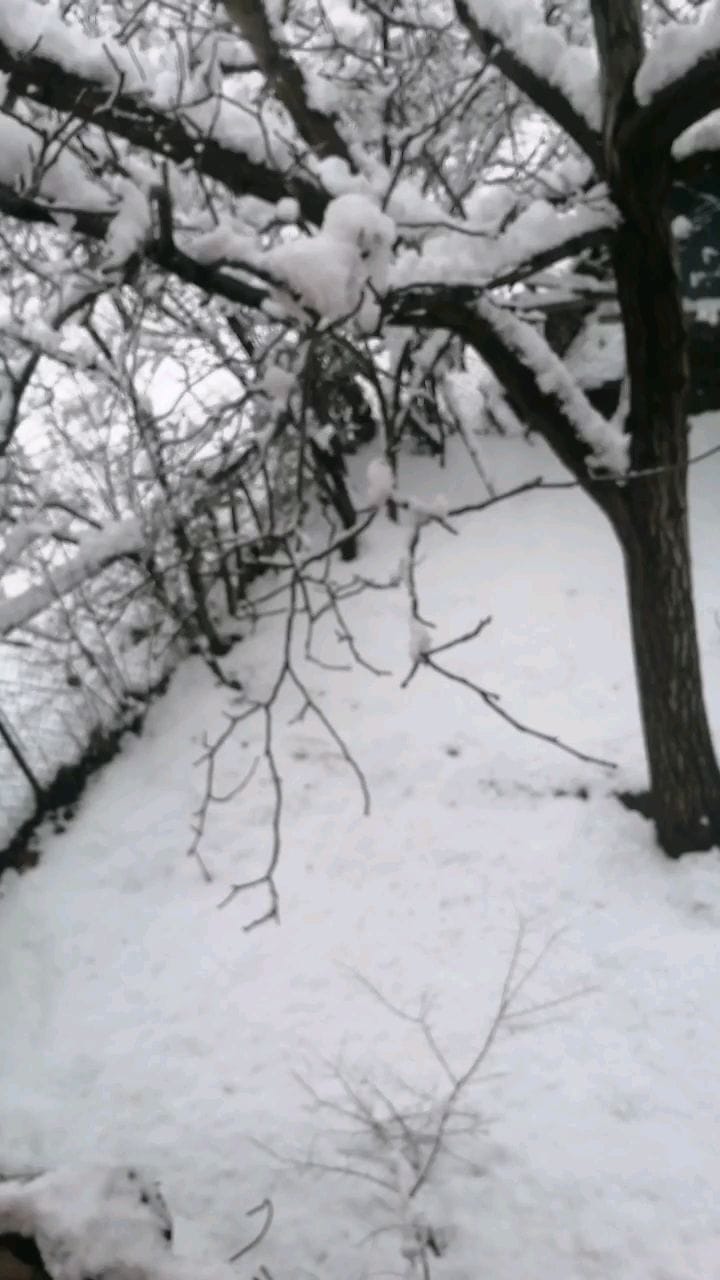 Post 9 by HİNTKINACISIMERVE👑 on Instagram (video)