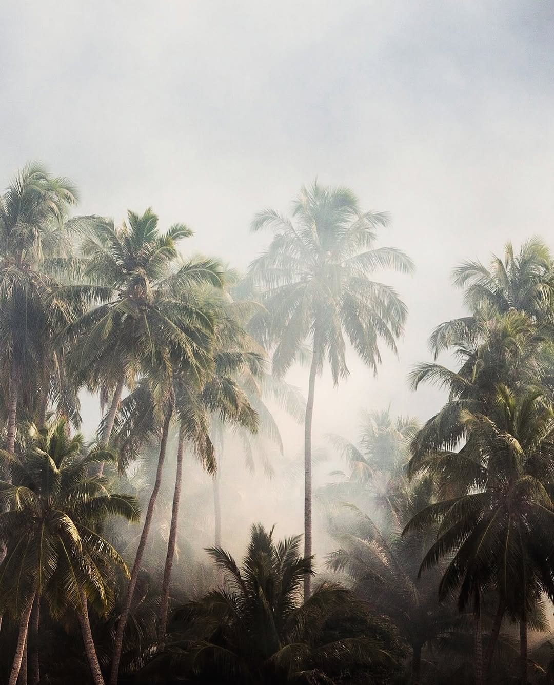 Post 4 by Cactus & Cocotier - Artisanat on Instagram (image)