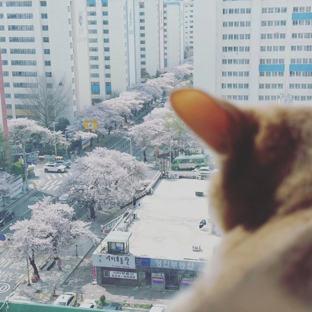Post 6 by jungchahee on Instagram (image)