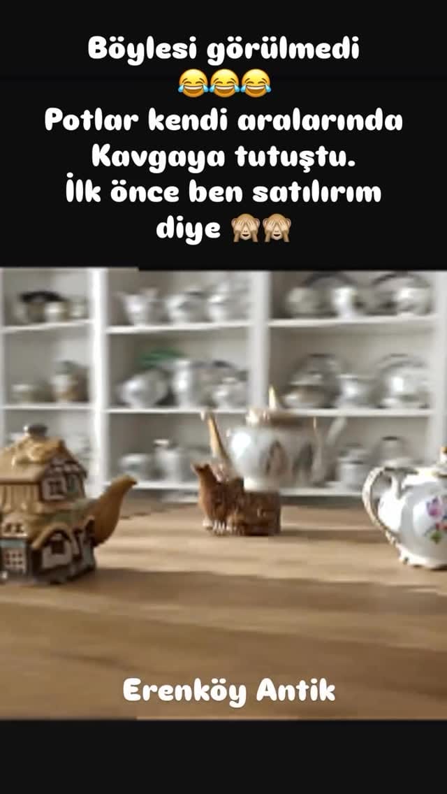 Post 5 by Müjgan Sekban on Instagram (video)