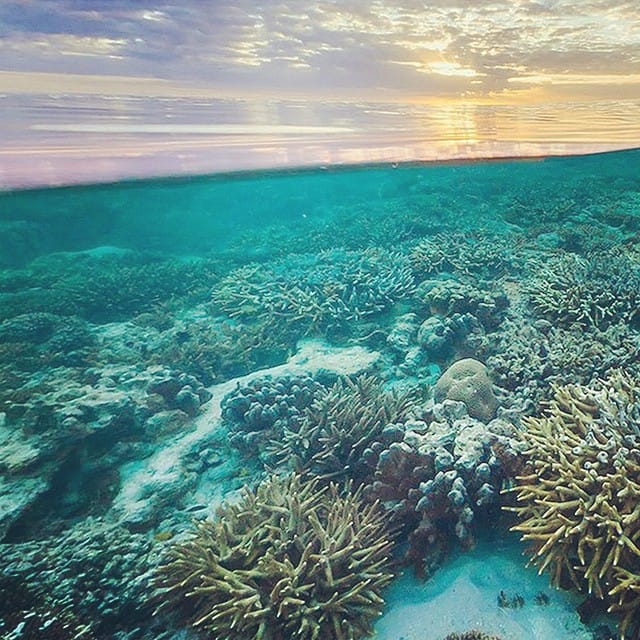 Post 7 by Terry Sky on Instagram (image)