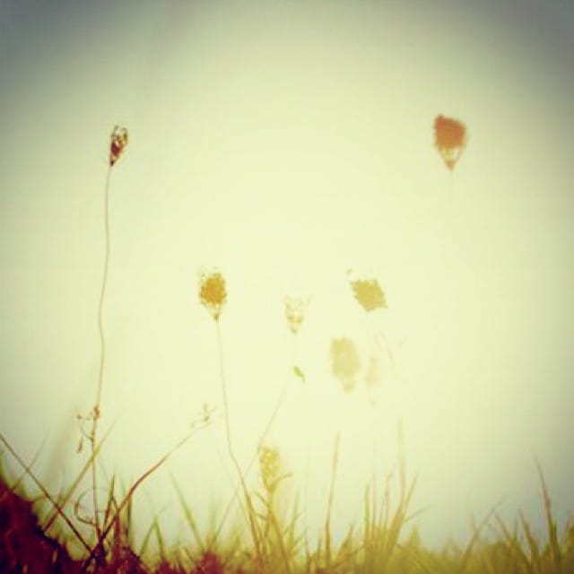 Post 9 by Terry Sky on Instagram (image)