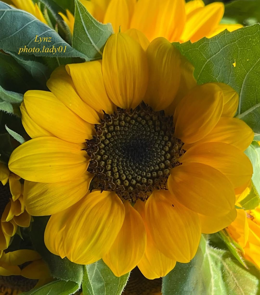 Post 4 by Lynz on Instagram (image)