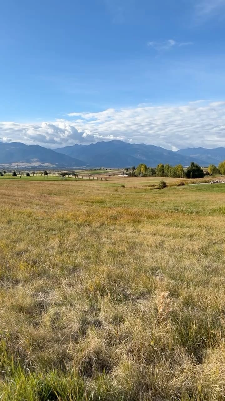 Post 9 by Krissie B on Instagram (video)
