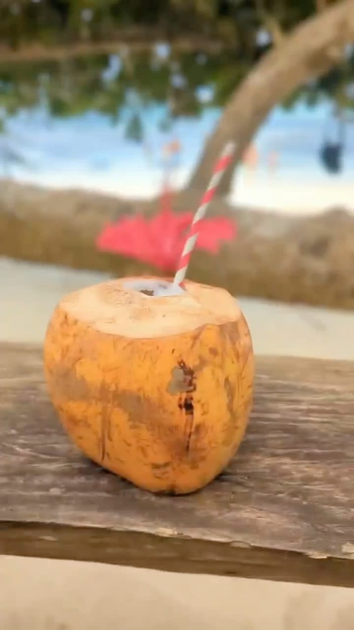 Post 1 by VELIVE TRAVEL on Instagram (video)