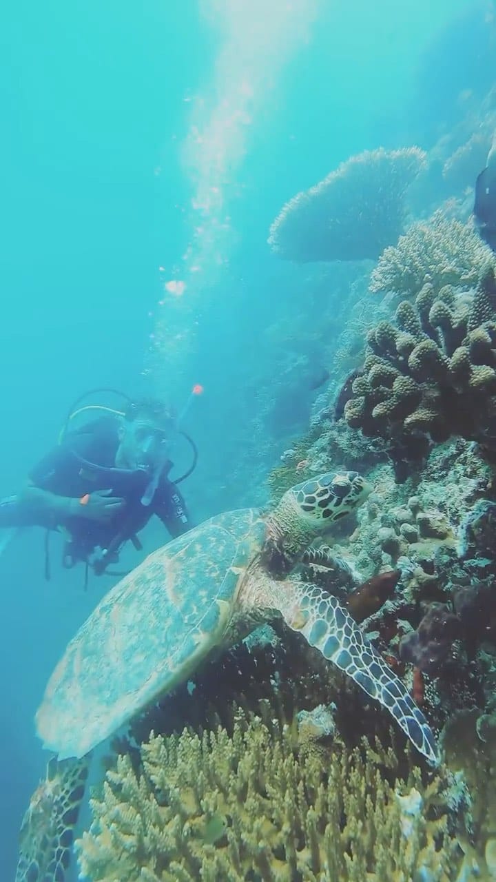 Post 7 by VELIVE TRAVEL on Instagram (video)