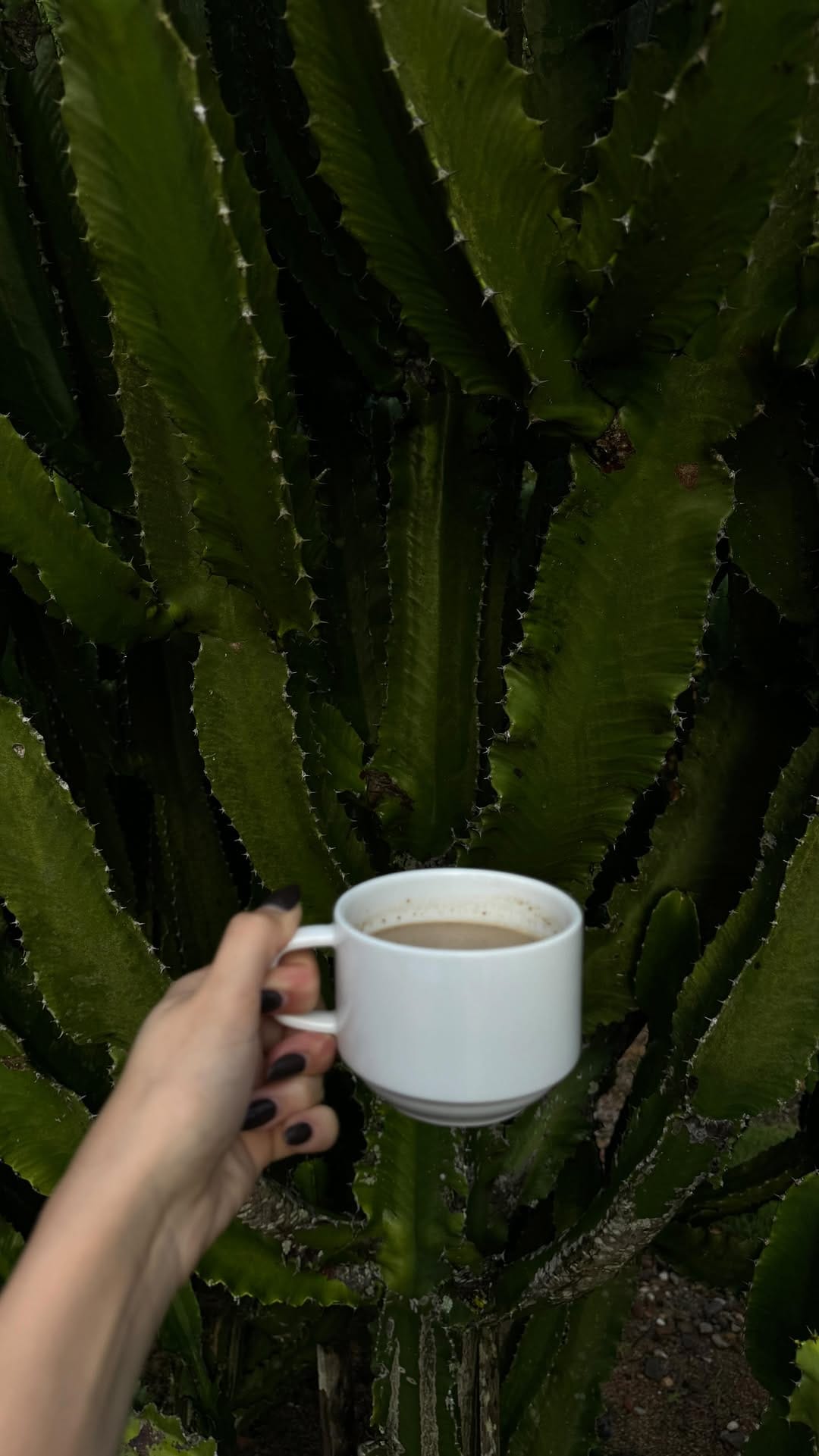Post 7 by Carolina Liz on Instagram (video)