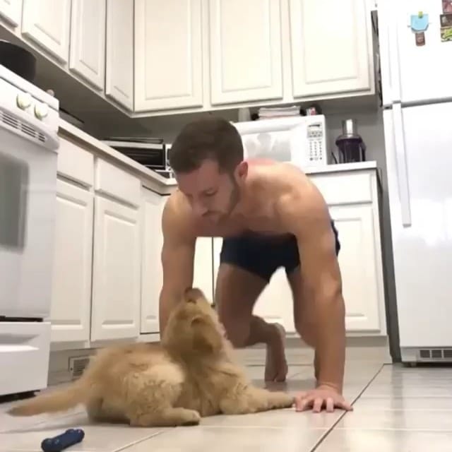Post 10 by theDoger on Instagram (video)