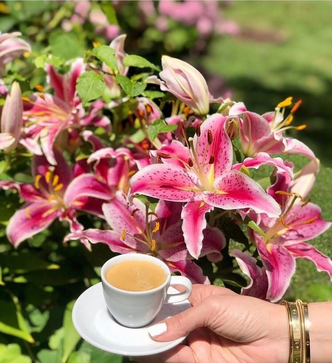 Post 1 by W ESPRESSO   World Wide Coffee on Instagram (image)
