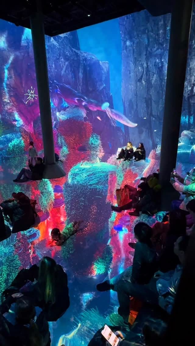 Post 3 by Will Selviz on Instagram (video)