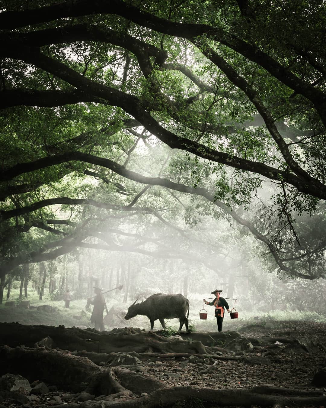 Post 7 by Iris | Toronto Photographer on Instagram (image)