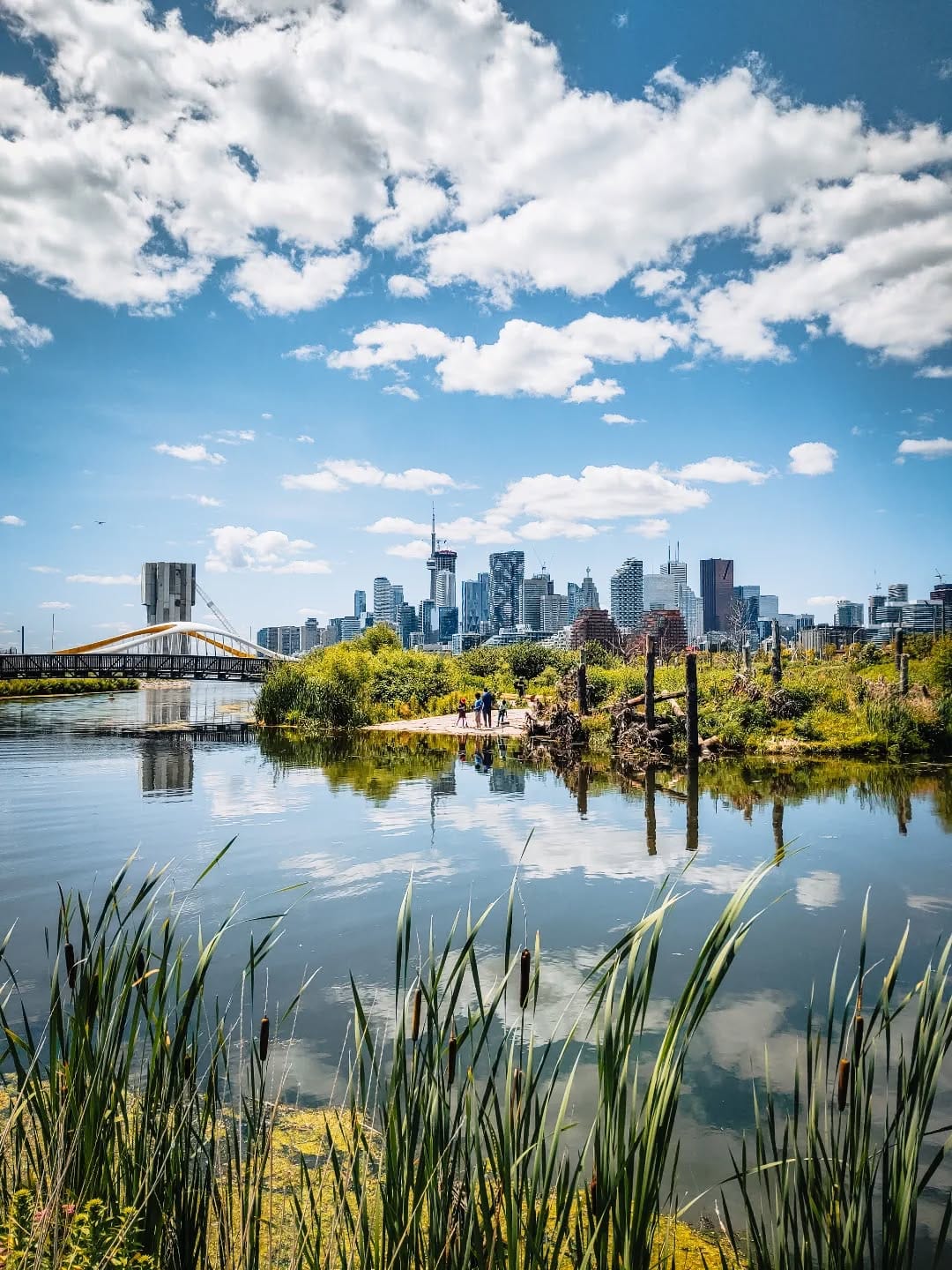 Post 2 by Iris | Toronto Photographer on Instagram (image)