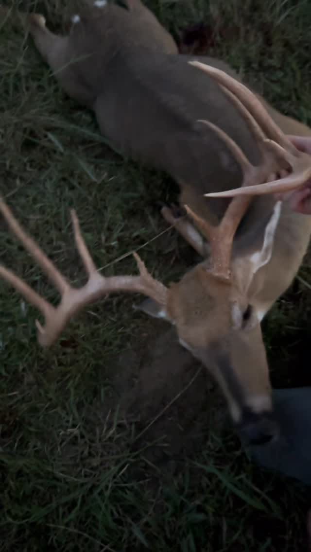 Post 4 by Phire Creek Outdoors LLC on Instagram (video)