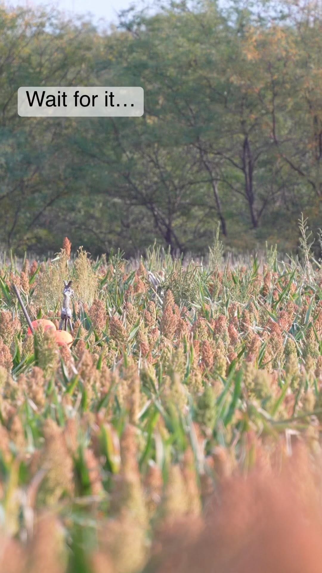 Post 10 by Phire Creek Outdoors LLC on Instagram (video)