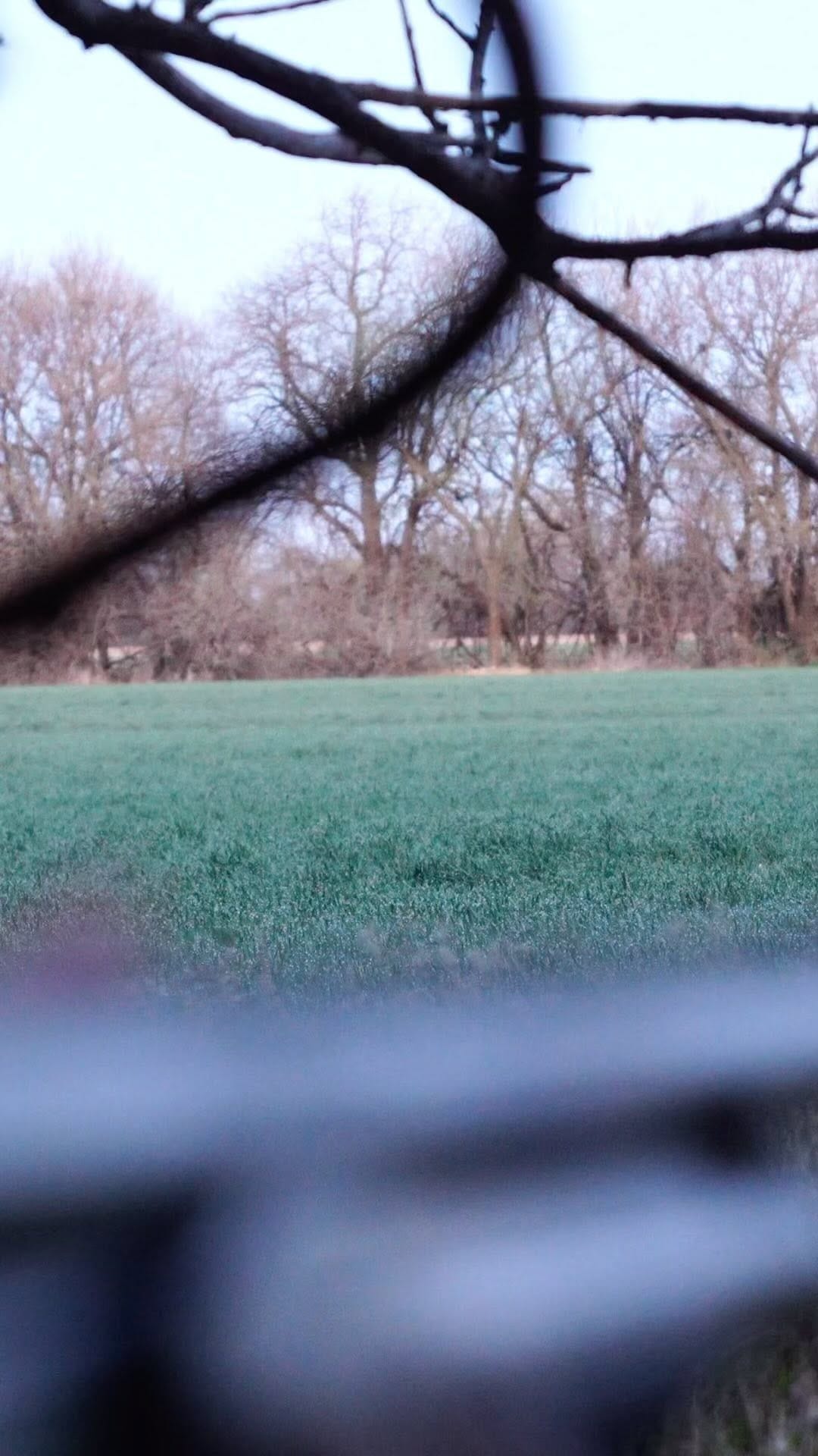 Post 8 by Phire Creek Outdoors LLC on Instagram (video)