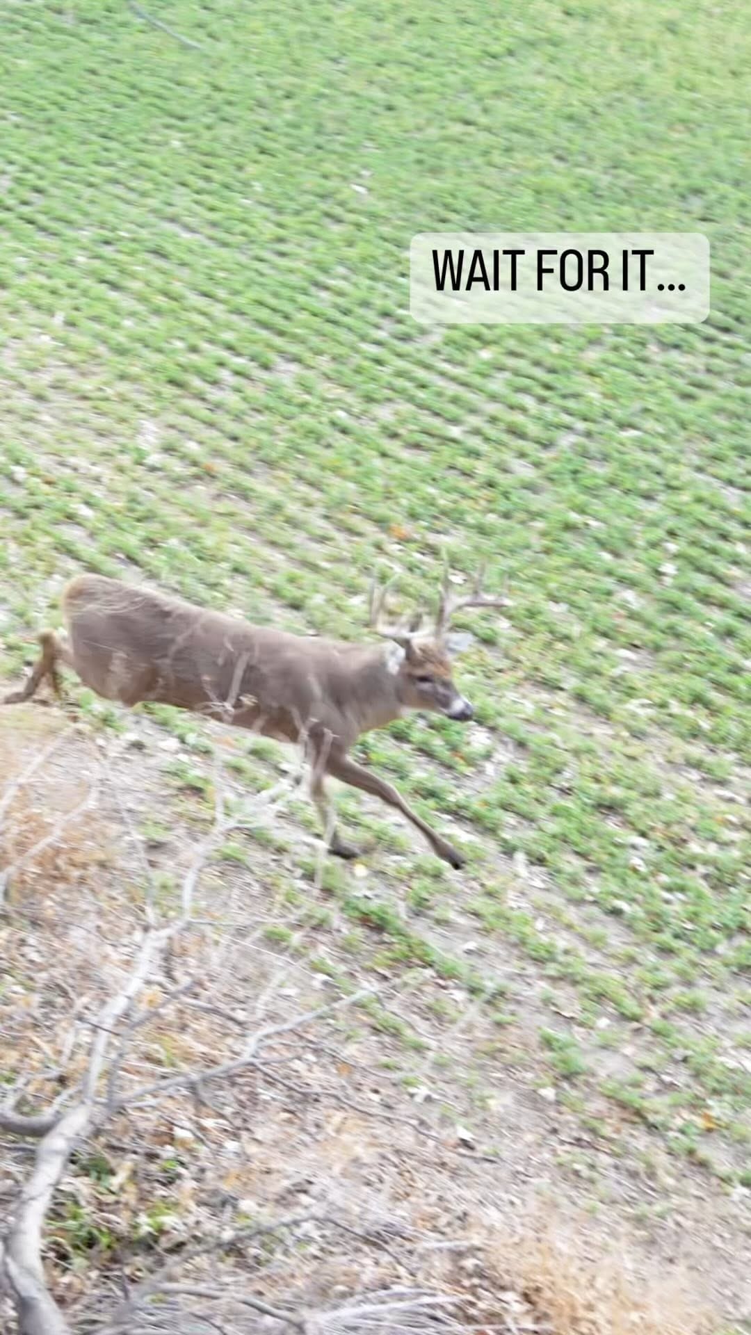 Post 9 by Phire Creek Outdoors LLC on Instagram (video)