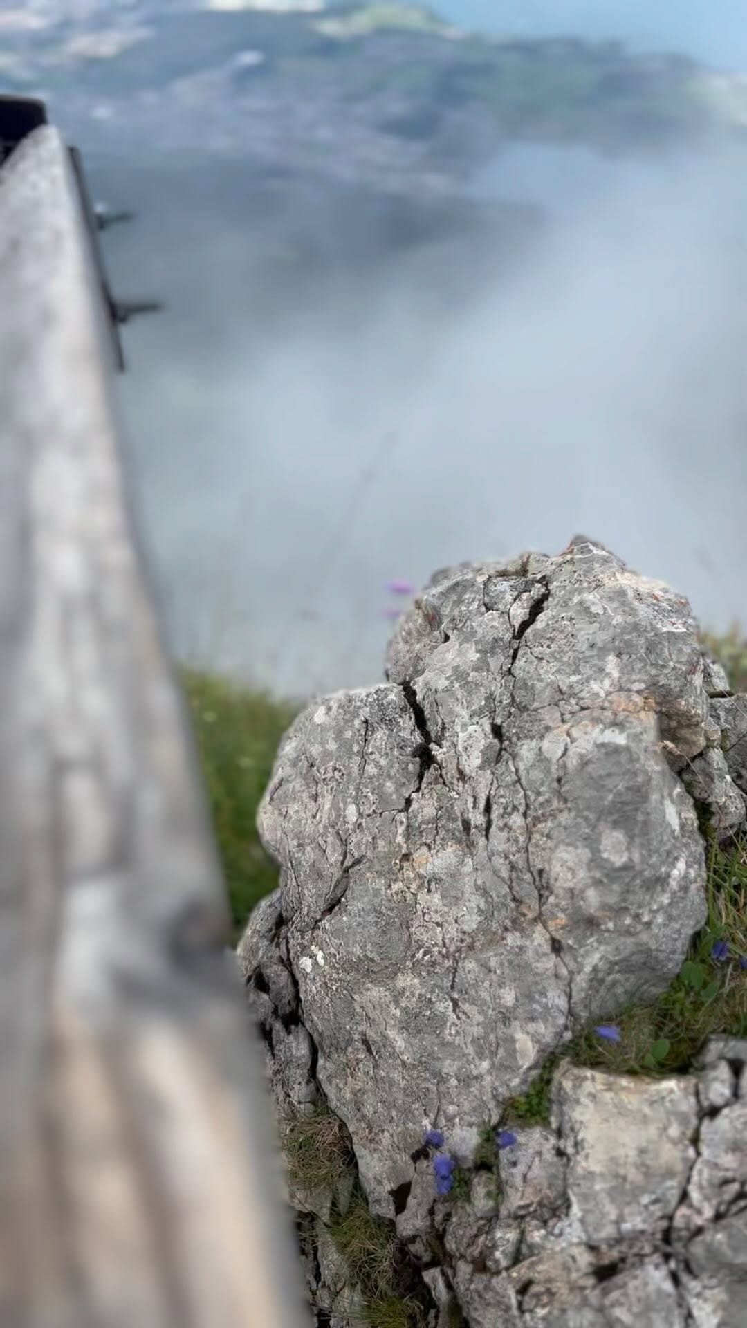 Post 7 by BT Reals on Instagram (video)