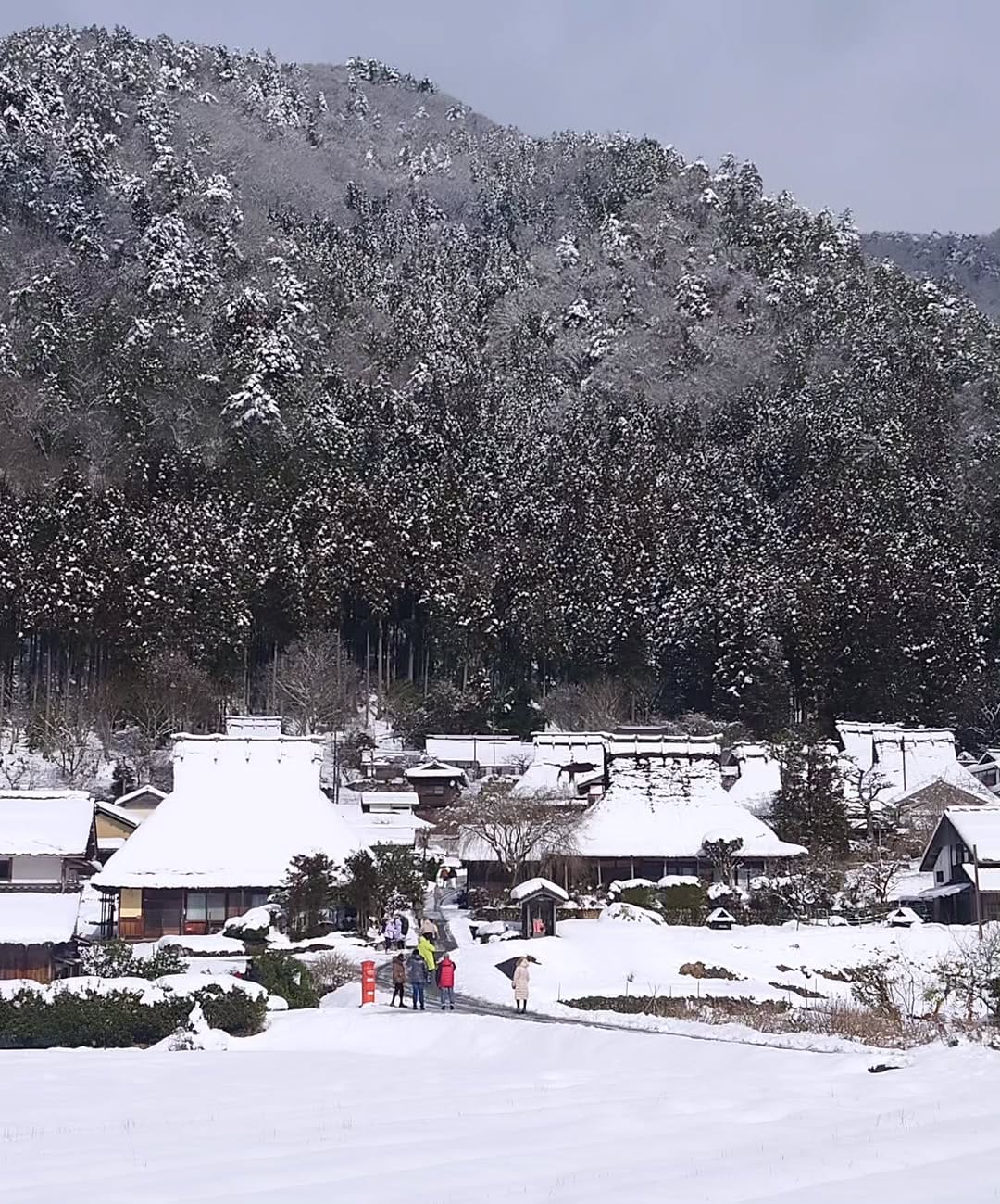 Post 3 by 【公式】南丹市美山観光まちづくり協会 on Instagram (carousel)