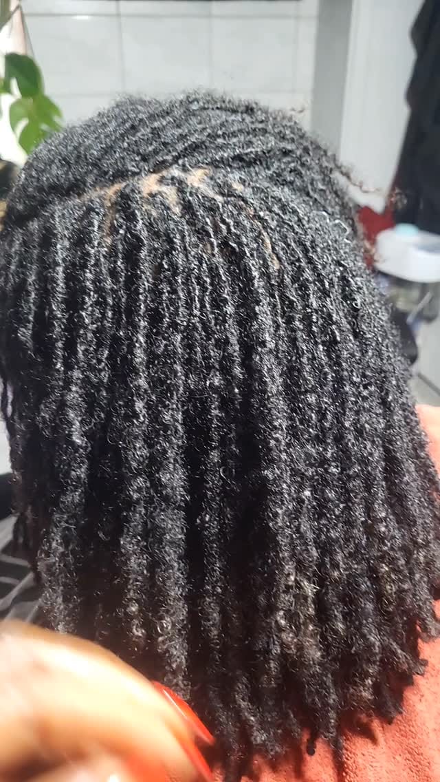 Post 9 by Locs Kinks &Twist LLC on Instagram (video)