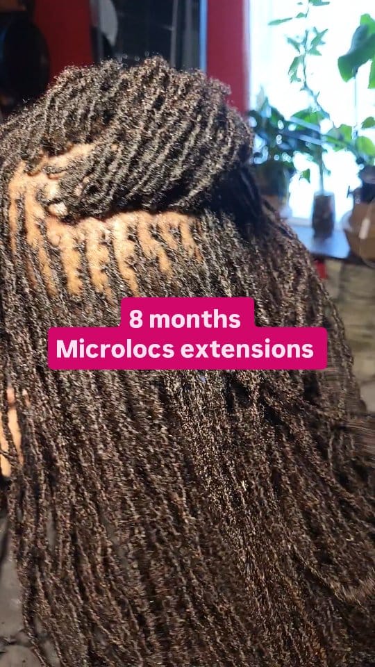 Post 5 by Locs Kinks &Twist LLC on Instagram (video)