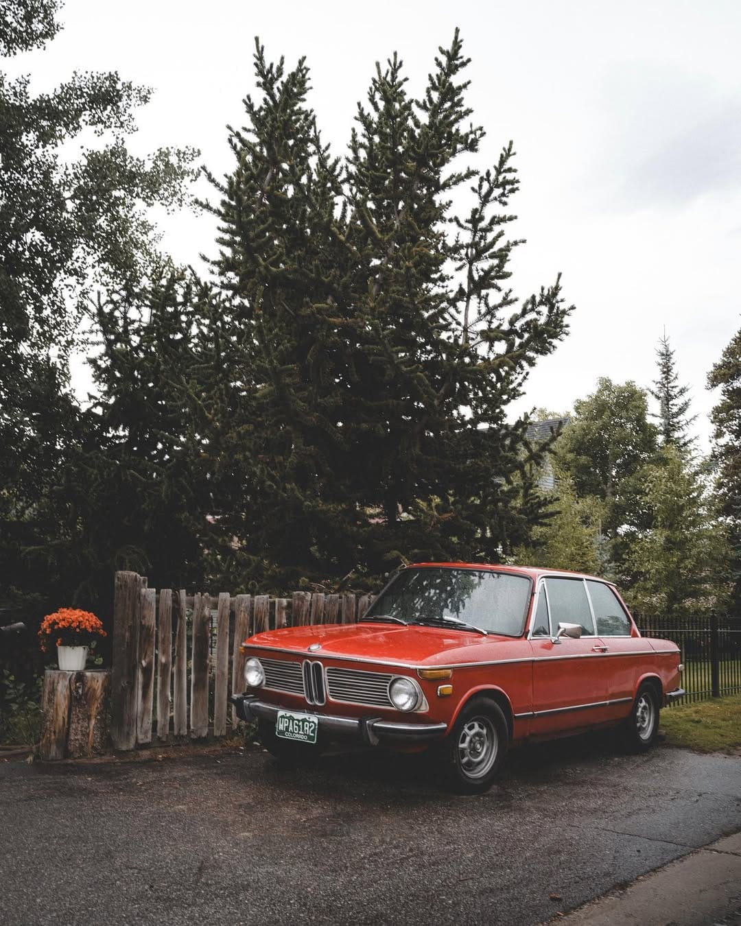 Post 1 by Jesse Packwood on Instagram (image)