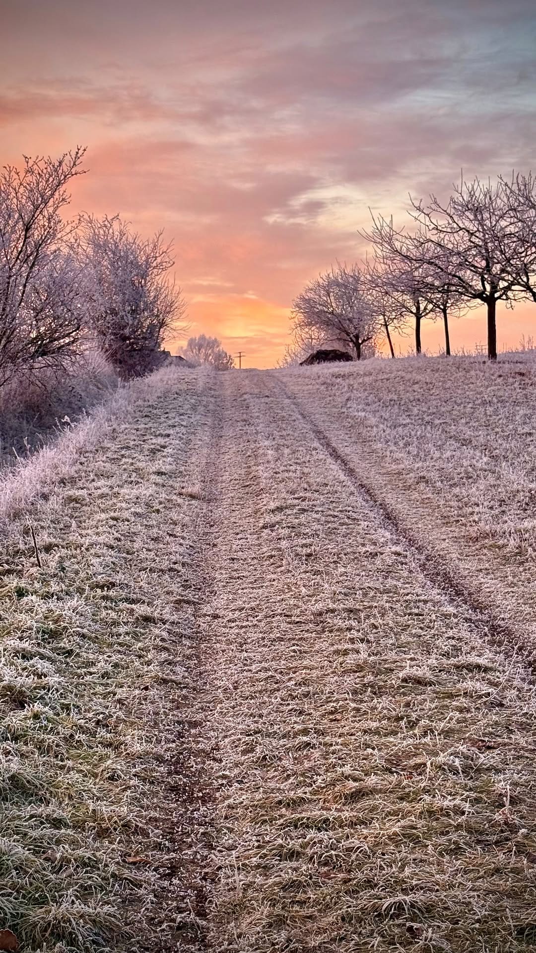 Post 6 by Ka Ro on Instagram (video)