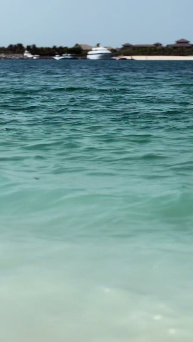 Post 7 by HBK on Instagram (video)