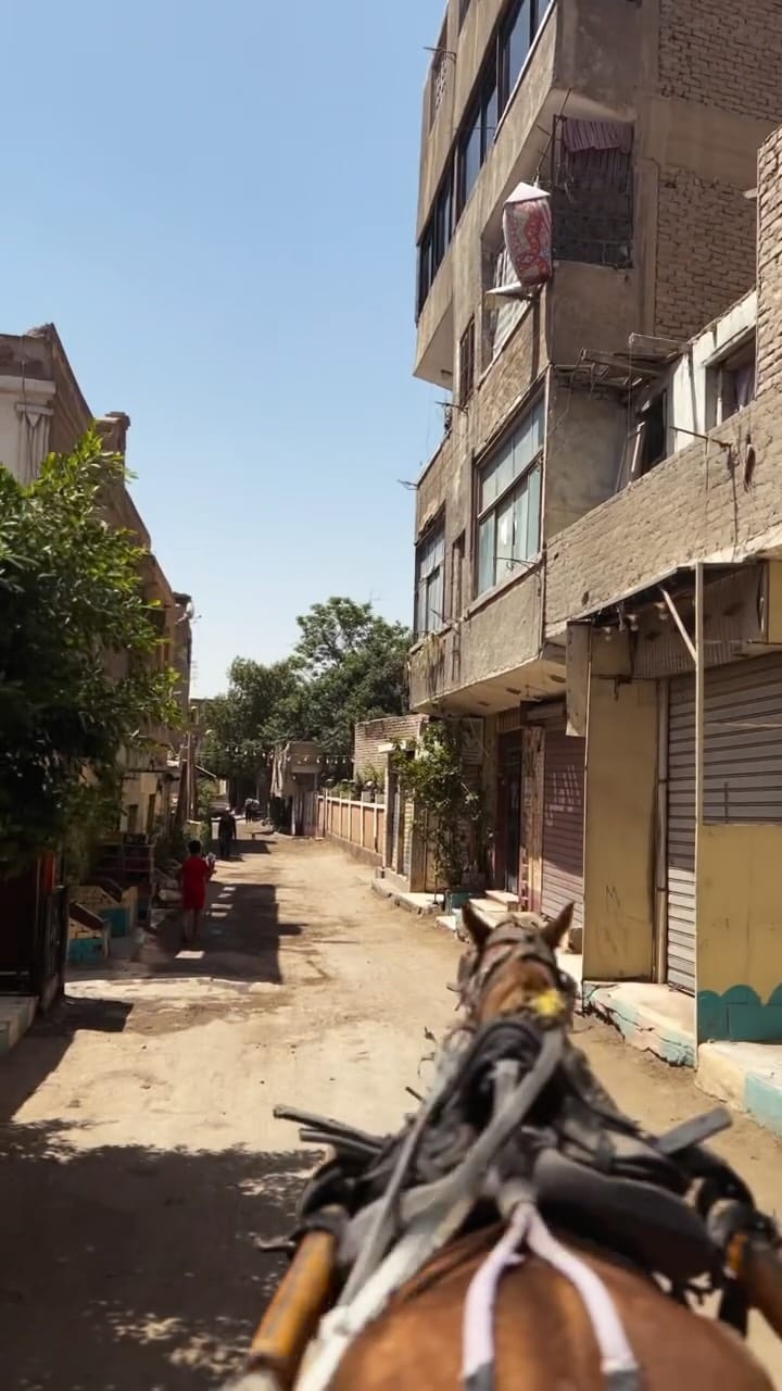Post 6 by HBK on Instagram (video)