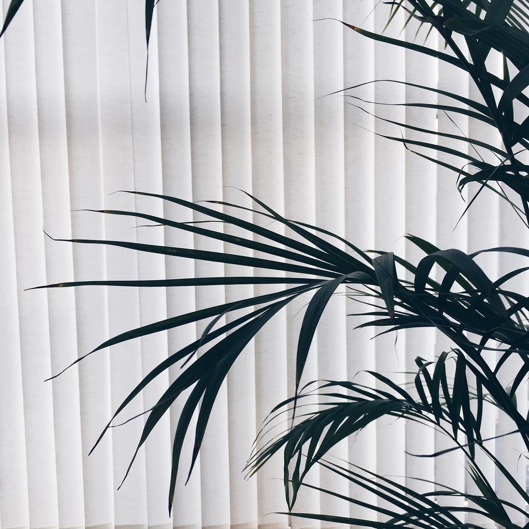 Post 7 by Naz on Instagram (image)