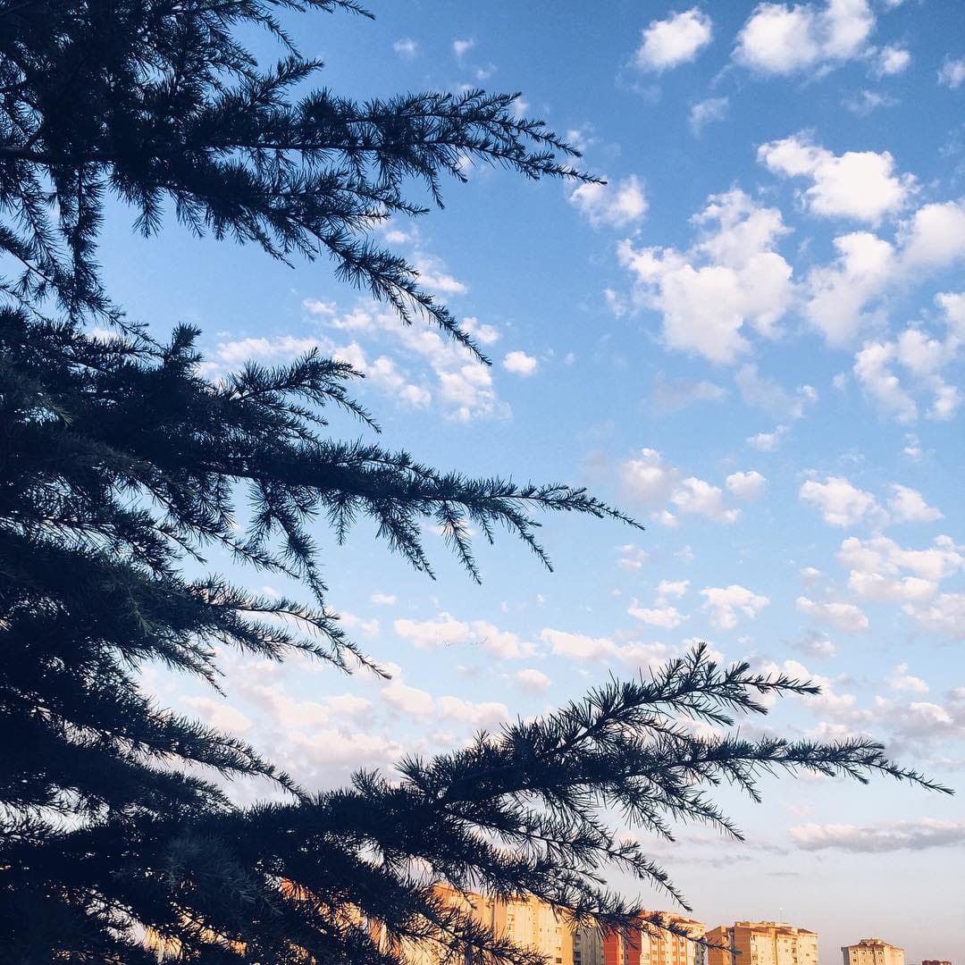 Post 10 by Naz on Instagram (image)