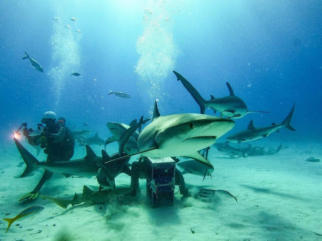 Post 9 by Josh Head on Instagram (image)