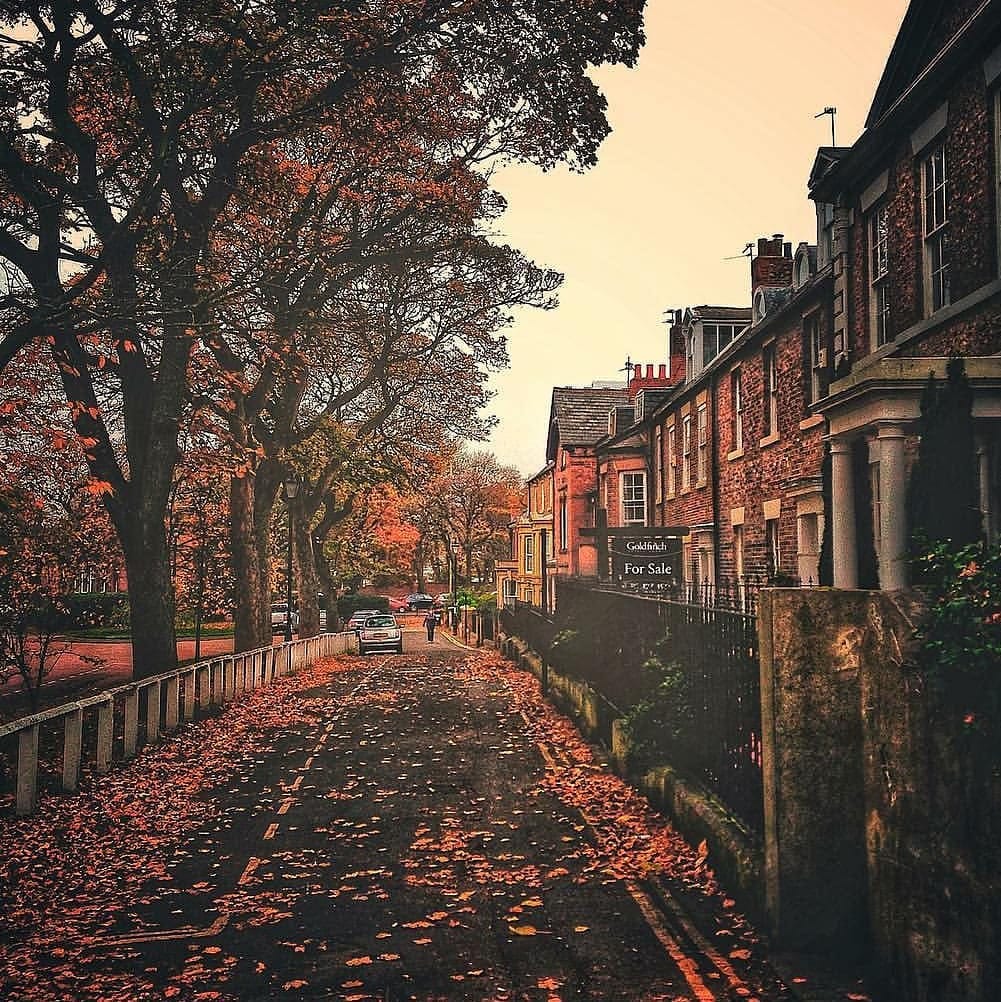 Post 7 by Amaan Khan on Instagram (image)
