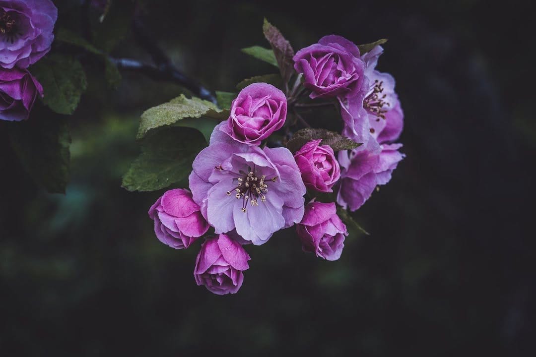 Post 2 by Beige Bloom on Instagram (image)