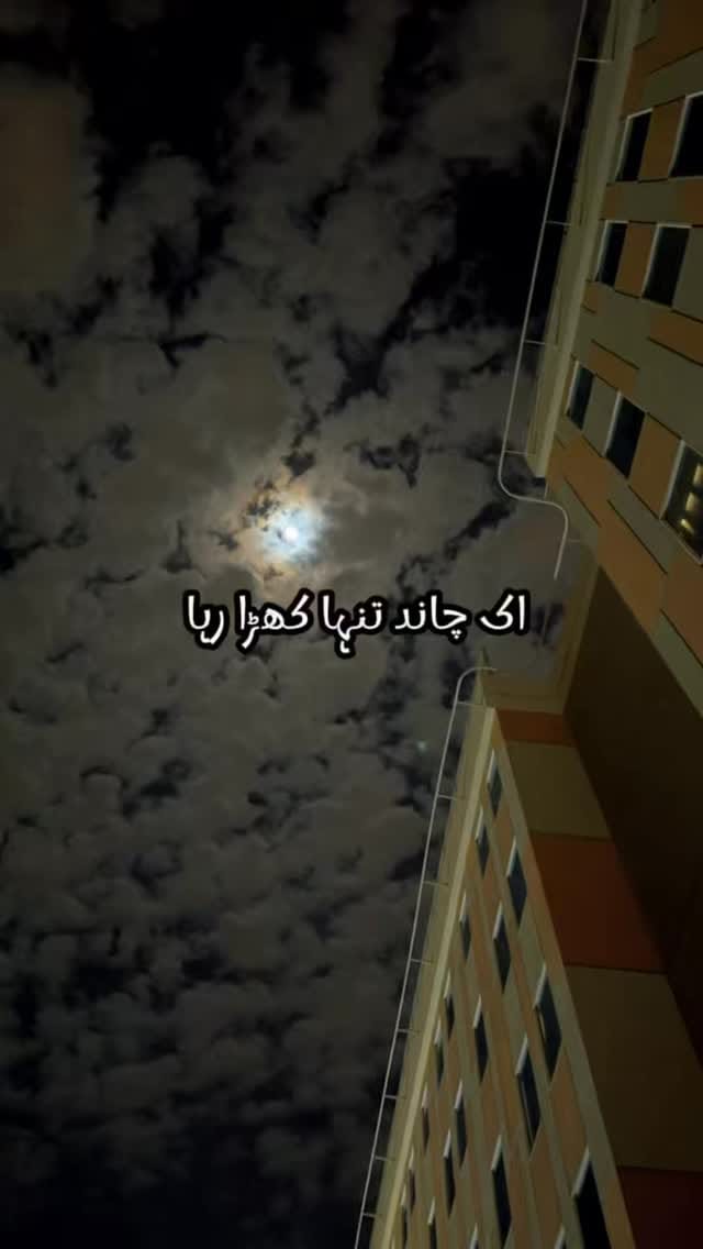 Post 1 by Ameer Hamza on Instagram (video)