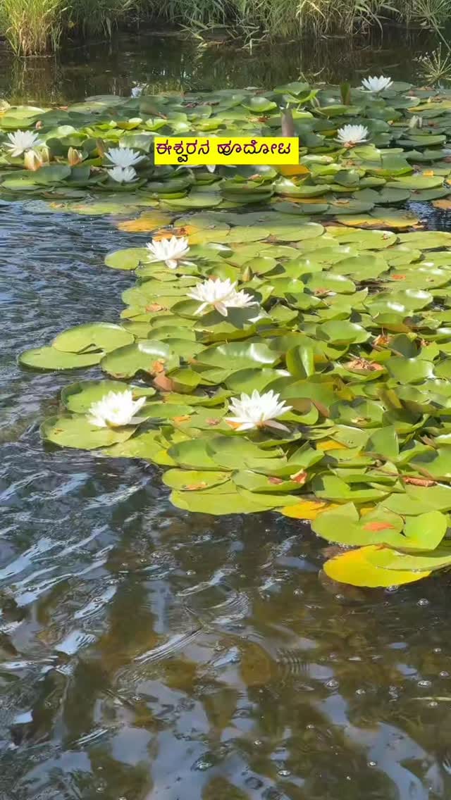 Post 5 by ಕಲ್ಕಿ 🧿 on Instagram (video)