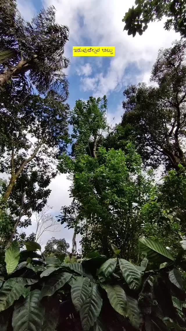 Post 3 by ಕಲ್ಕಿ 🧿 on Instagram (video)