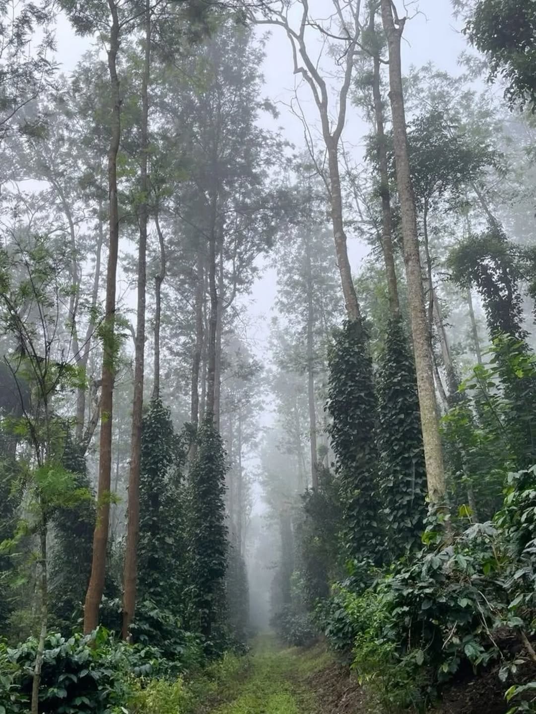 Post 4 by ಕಲ್ಕಿ 🧿 on Instagram (carousel)
