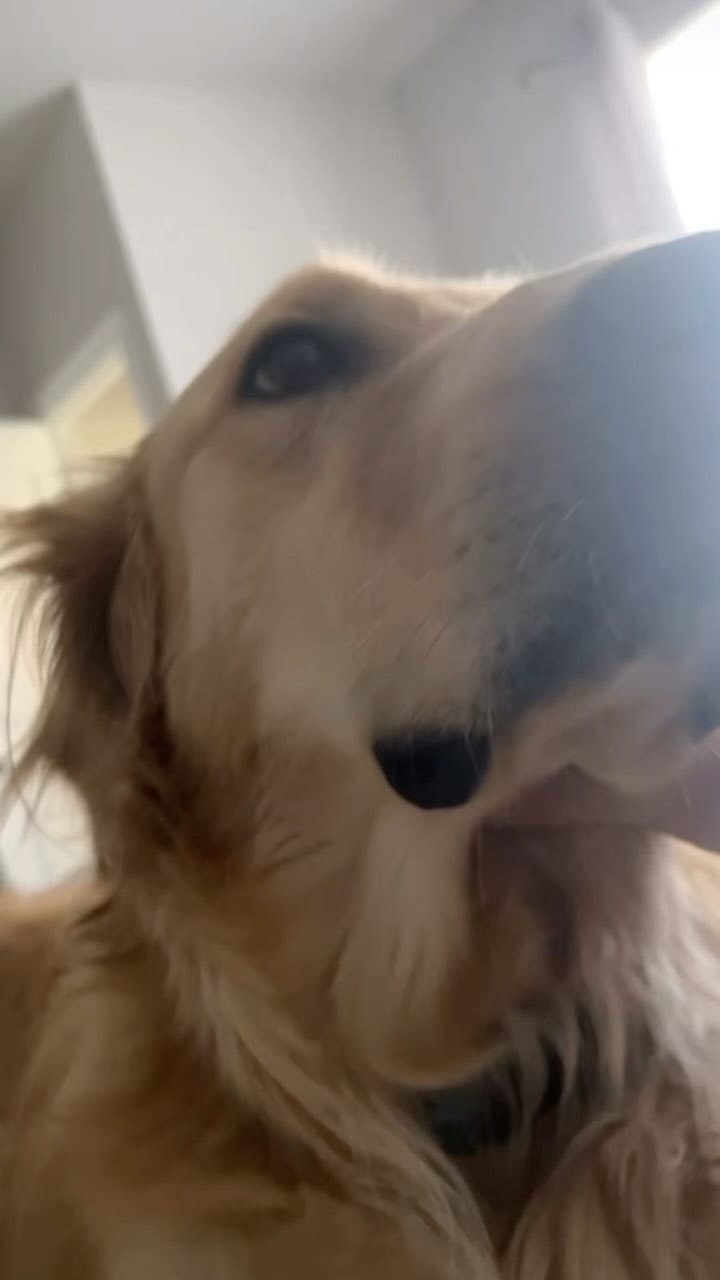 Post 6 by Robert Waguespack on Instagram (video)