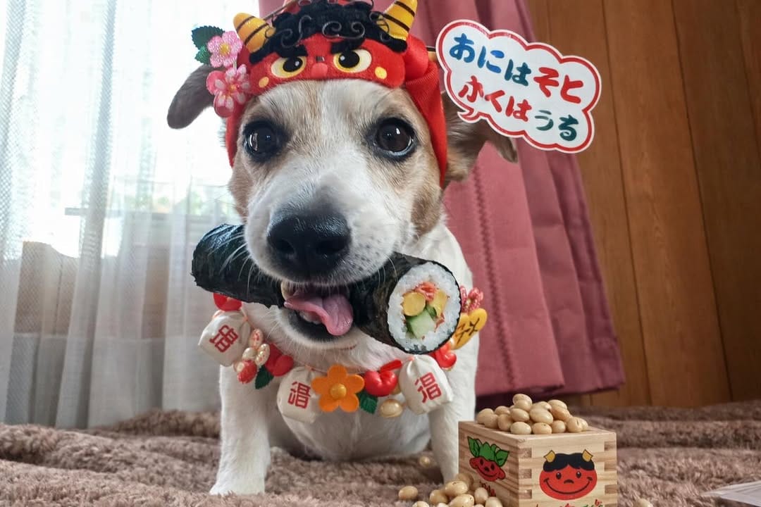 Post 7 by うめ🐾UME🐶梅 on Instagram (image)