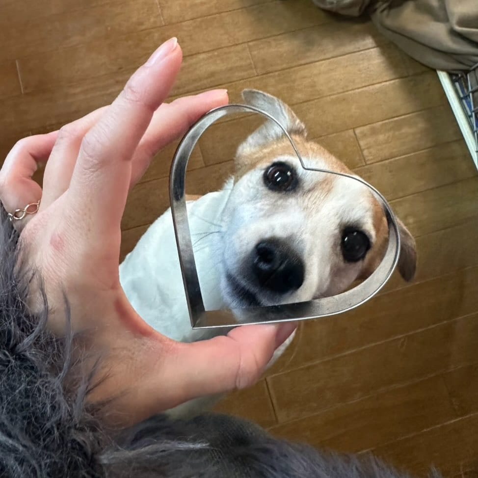Post 3 by うめ🐾UME🐶梅 on Instagram (image)