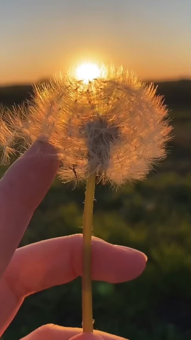 Post 9 by Paula Guaratini on Instagram (video)