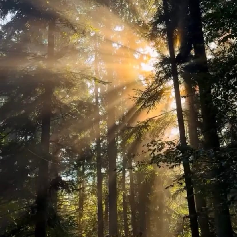 Post 10 by Paula Guaratini on Instagram (image)