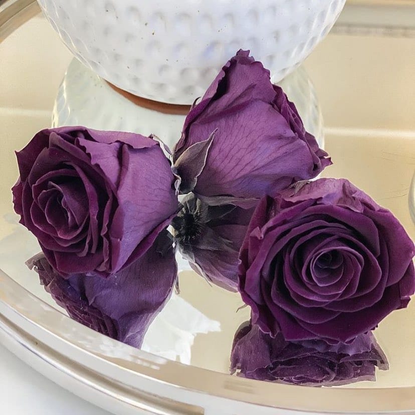 Post 6 by Rose Bears Factory on Instagram (image)