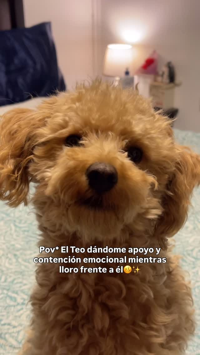 Post 6 by Lore Bailey 𓇼 on Instagram (video)