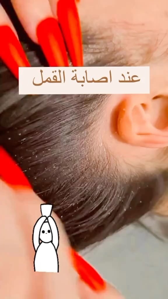 Post 7 by مؤسسة لانوف التجارية on Instagram (video)