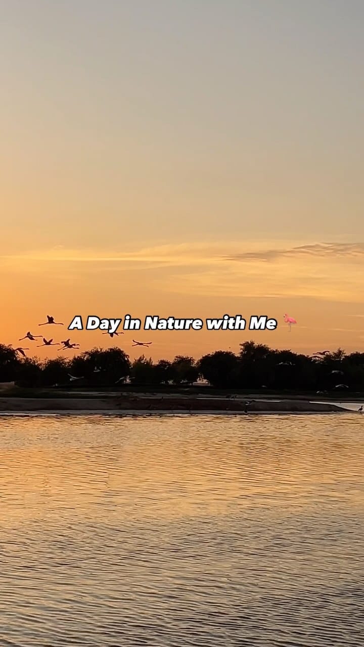 Post 8 by Razan Youssef | رزان يوسف on Instagram (video)