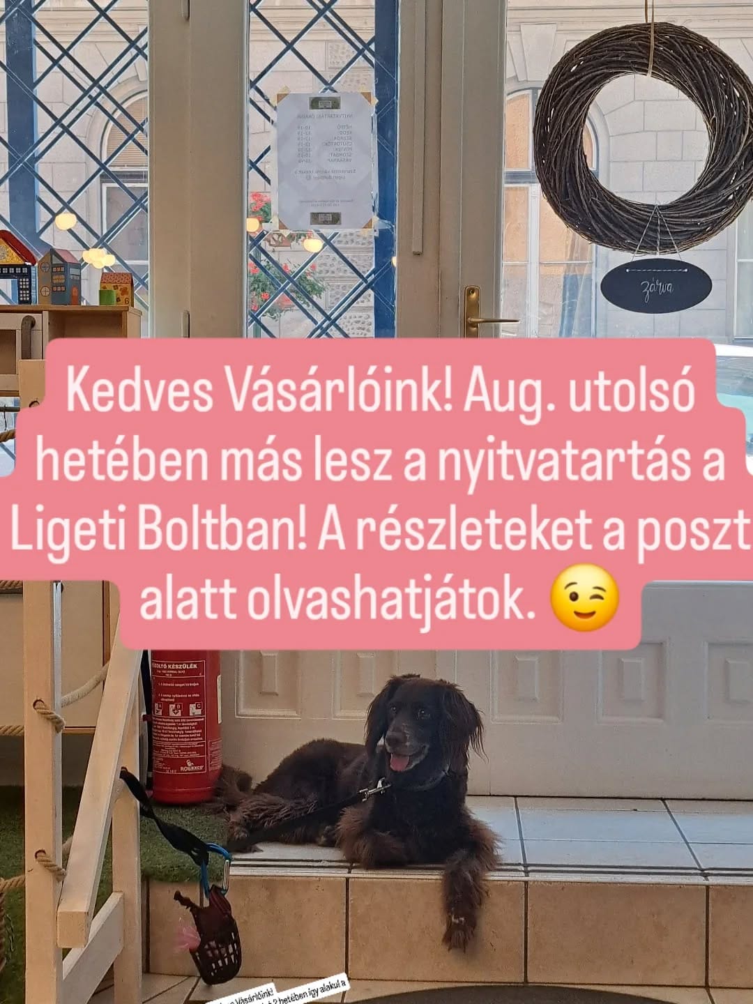 Post 6 by Ligeti Bolt🌿 | Csomagolásmentes bolt on Instagram (image)