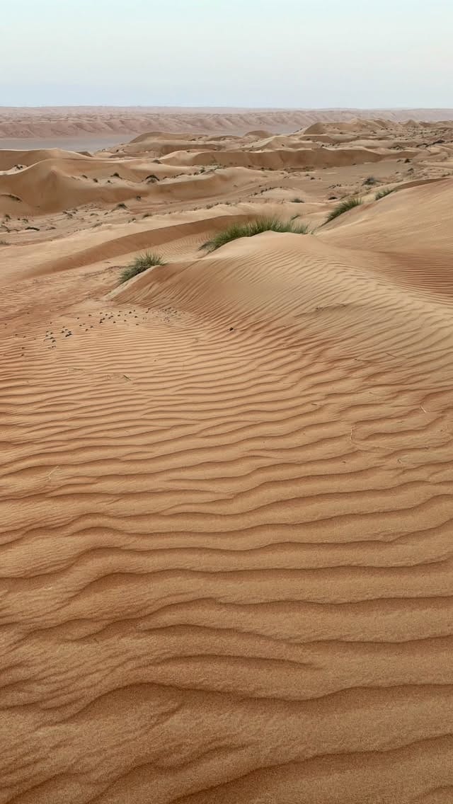 Post 8 by Ghazāl Al Wadi Tourism on Instagram (video)