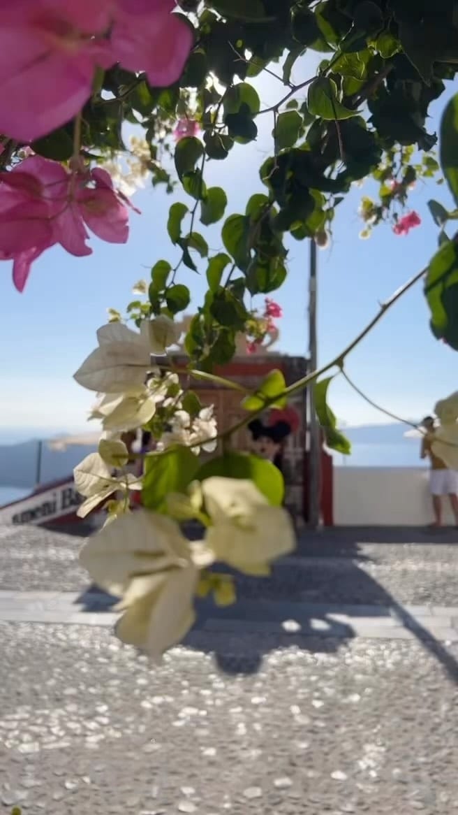 Post 8 by waad alblooshi on Instagram (video)